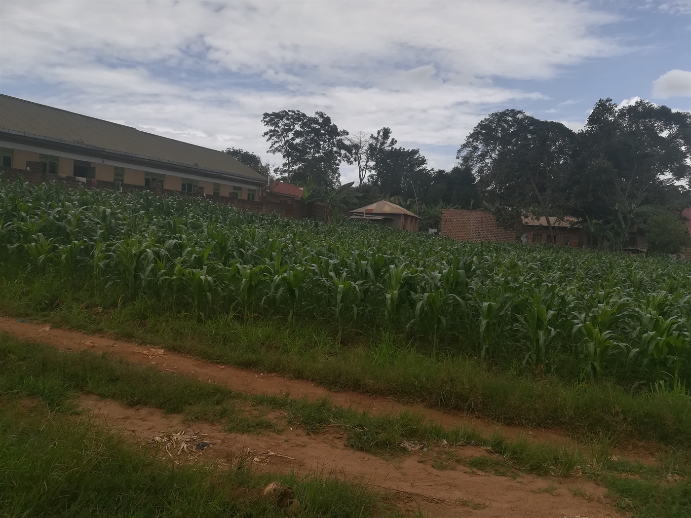 Residential Land for sale in Namilyango Mukono