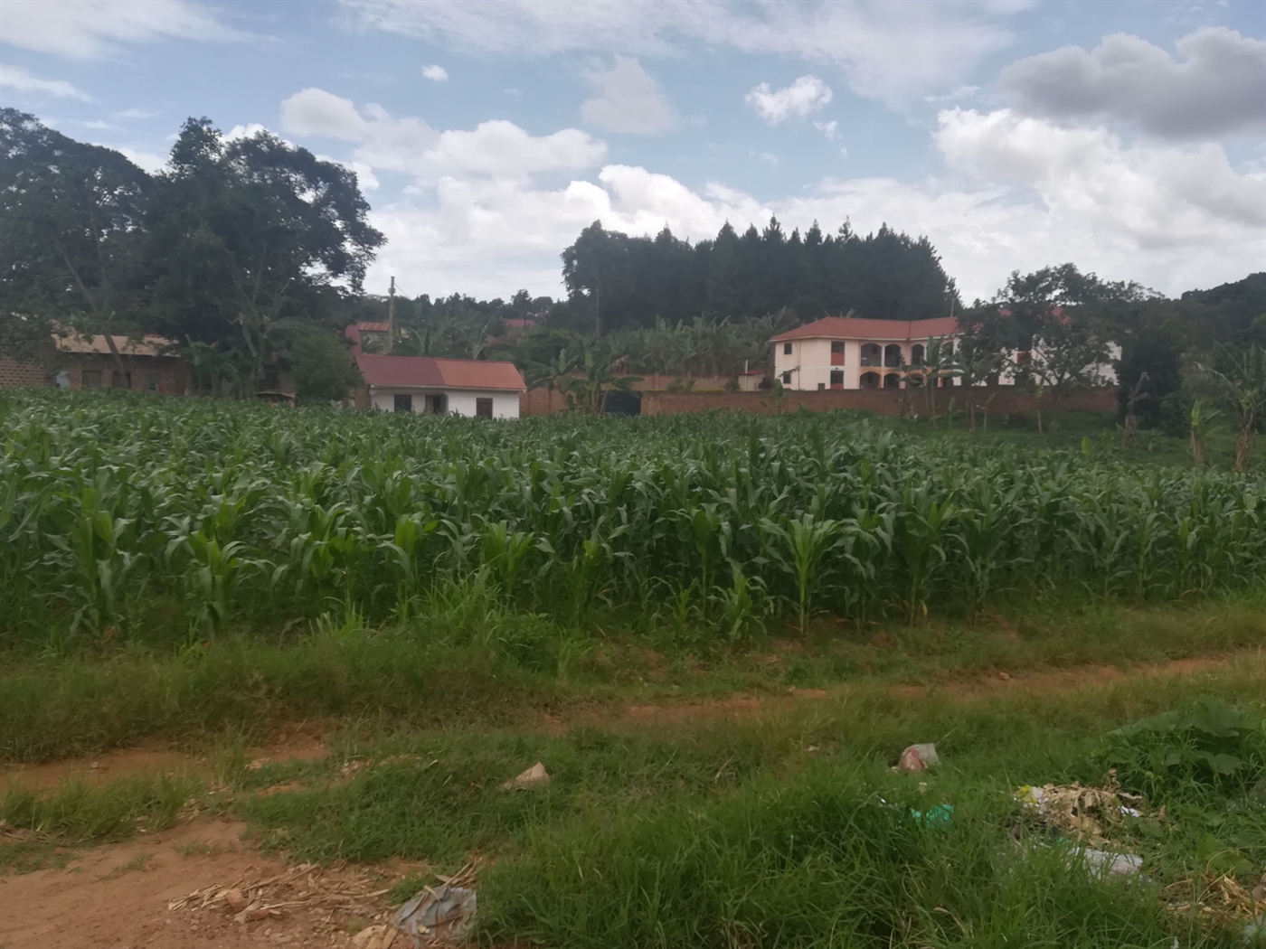 Residential Land for sale in Namilyango Mukono