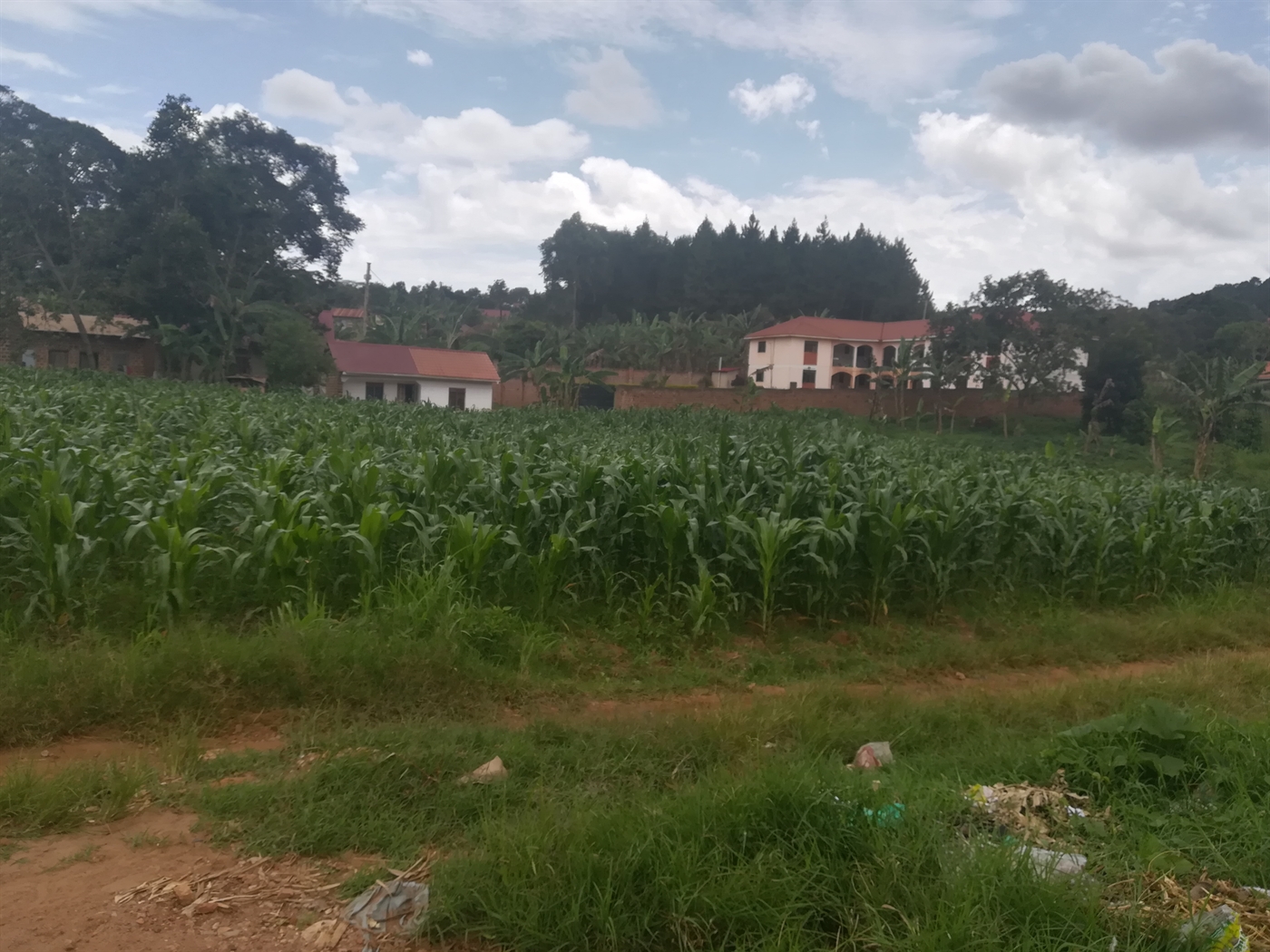 Residential Land for sale in Namilyango Mukono