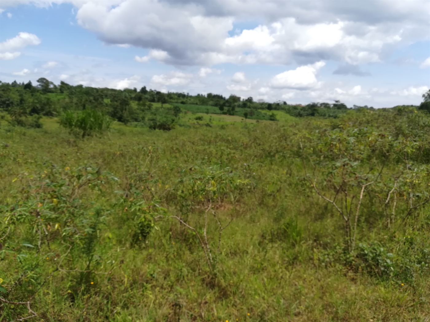 Multipurpose Land for sale in Mpoma Mukono