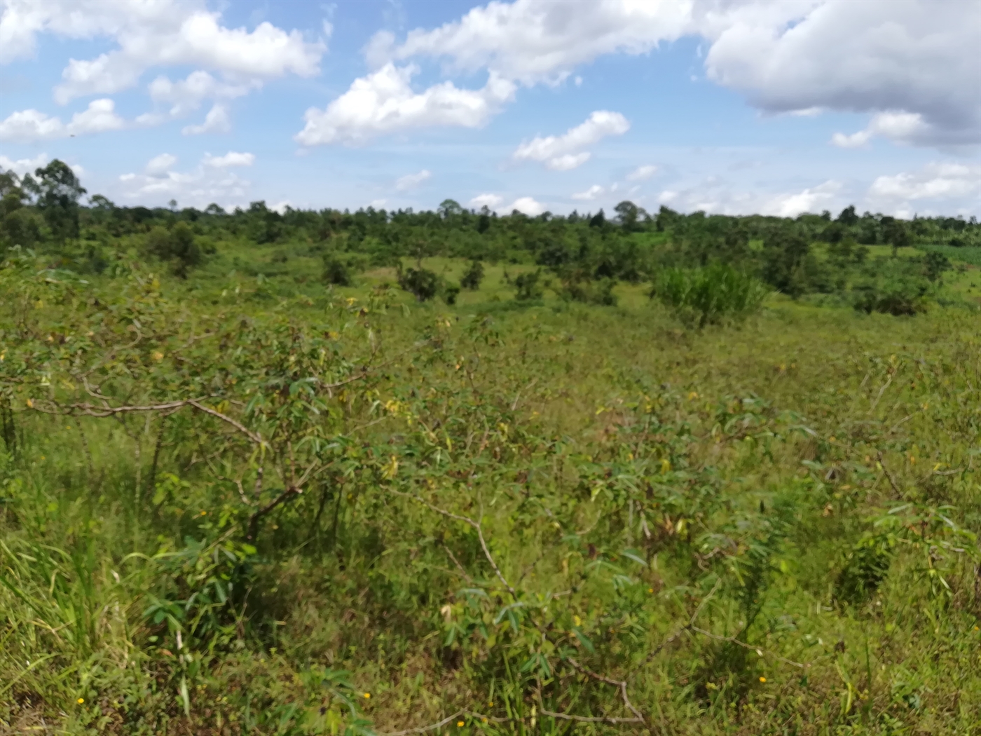 Multipurpose Land for sale in Mpoma Mukono