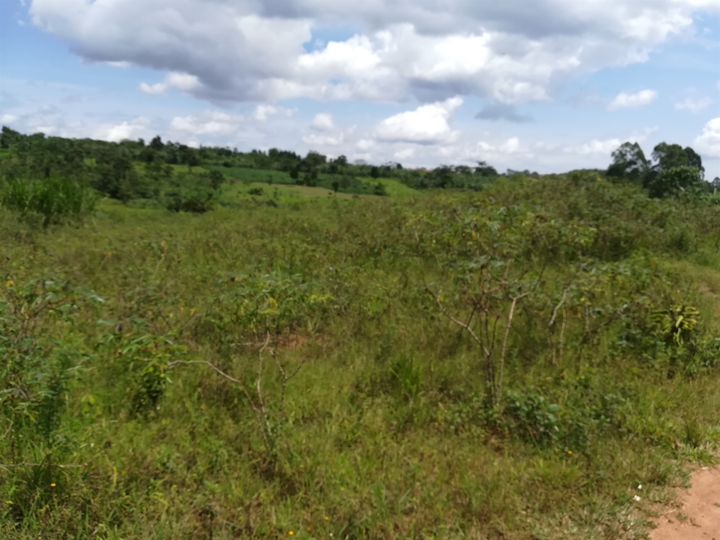 Multipurpose Land for sale in Mpoma Mukono