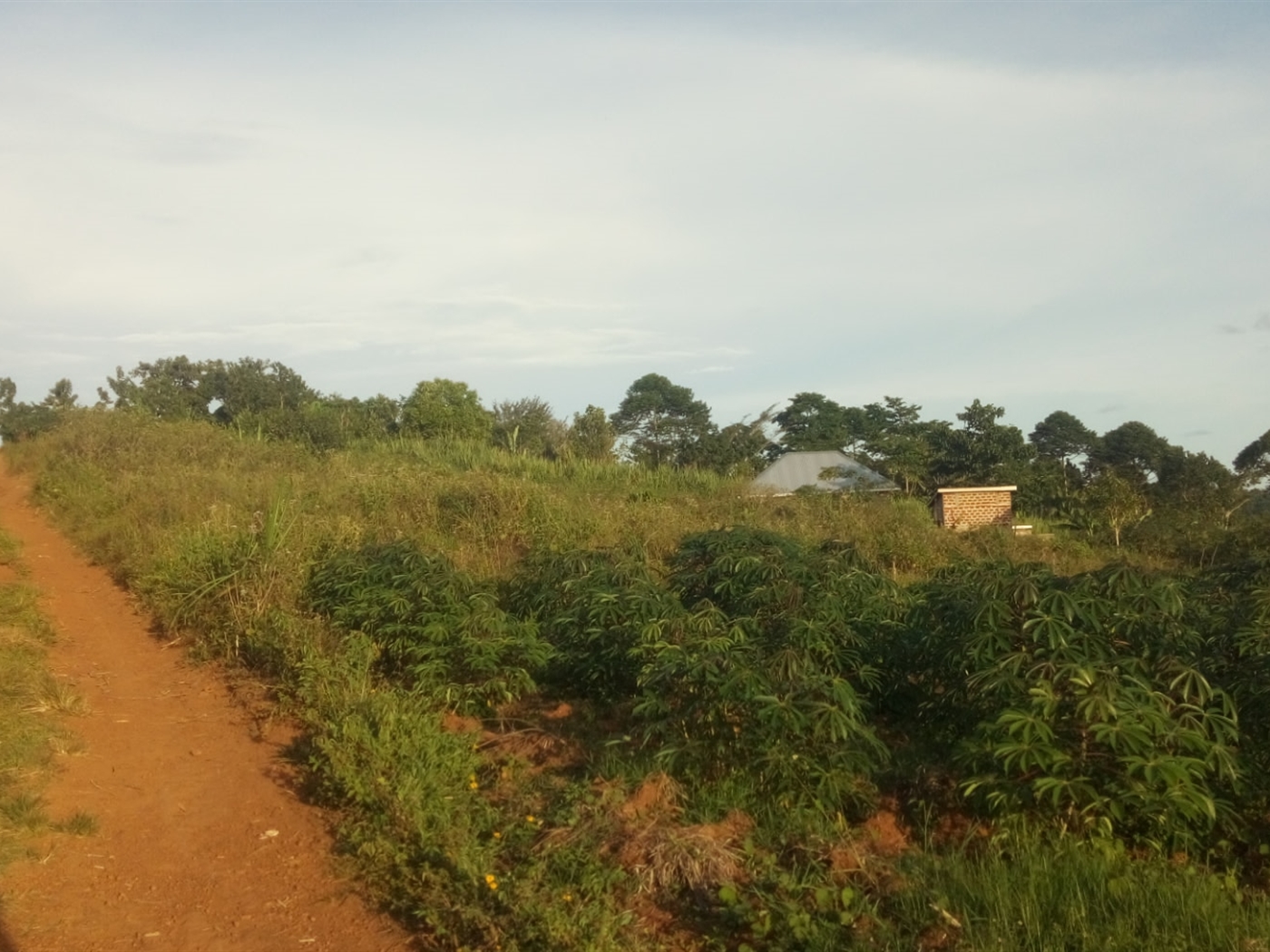 Agricultural Land for sale in Buwooya Buyikwe