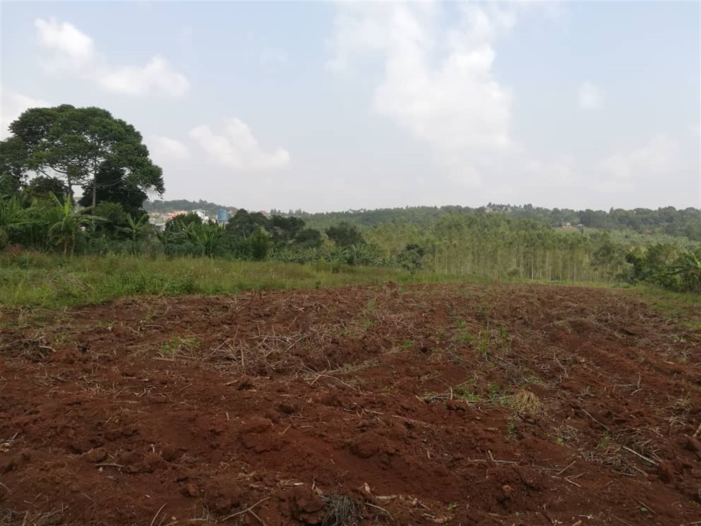 Residential Land for sale in Mpoma Mukono