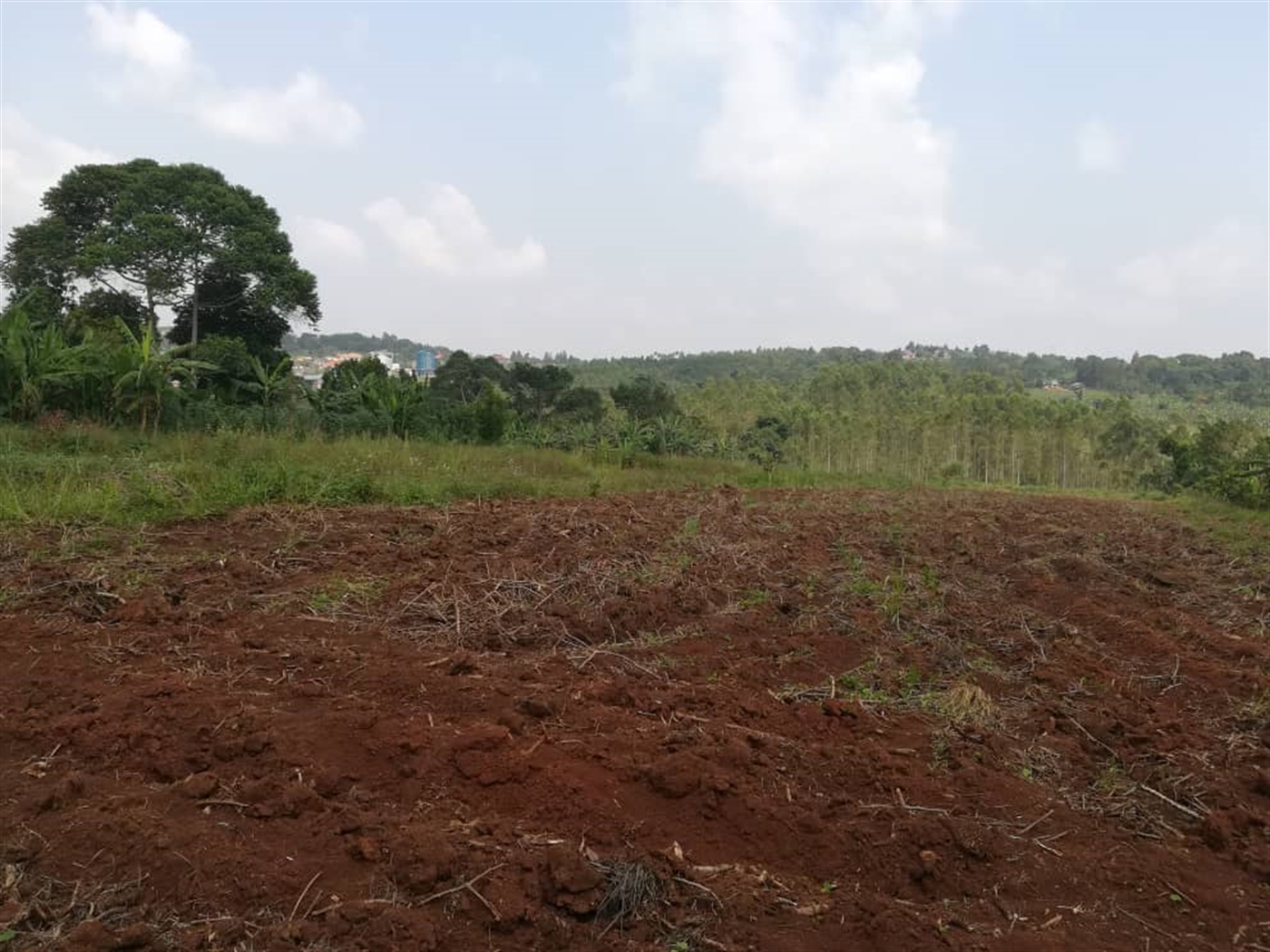 Residential Land for sale in Mpoma Mukono