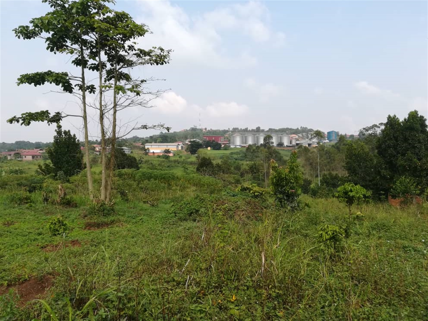 Residential Land for sale in Mpoma Mukono