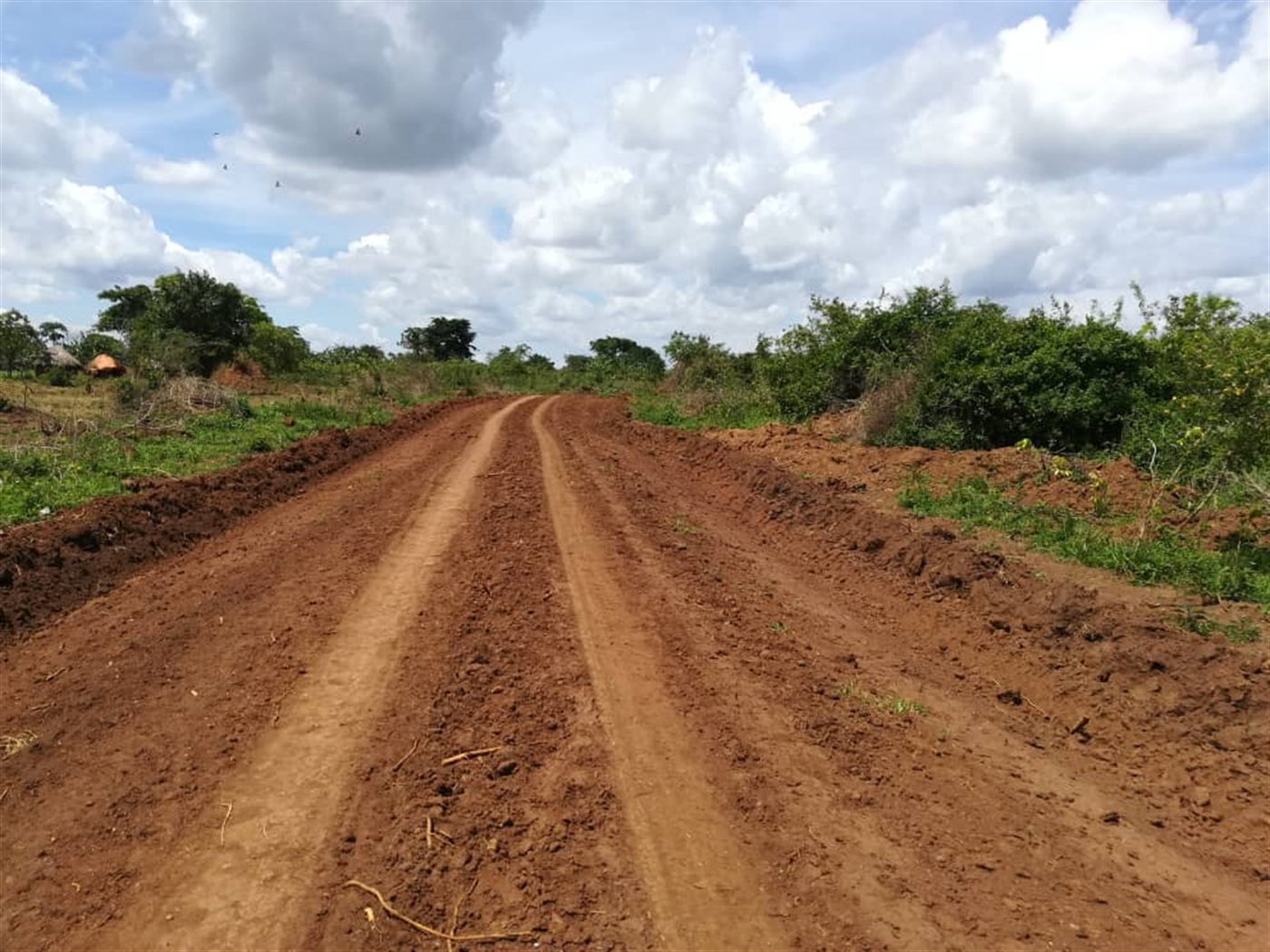 Agricultural Land for sale in Bbaale Kayunga