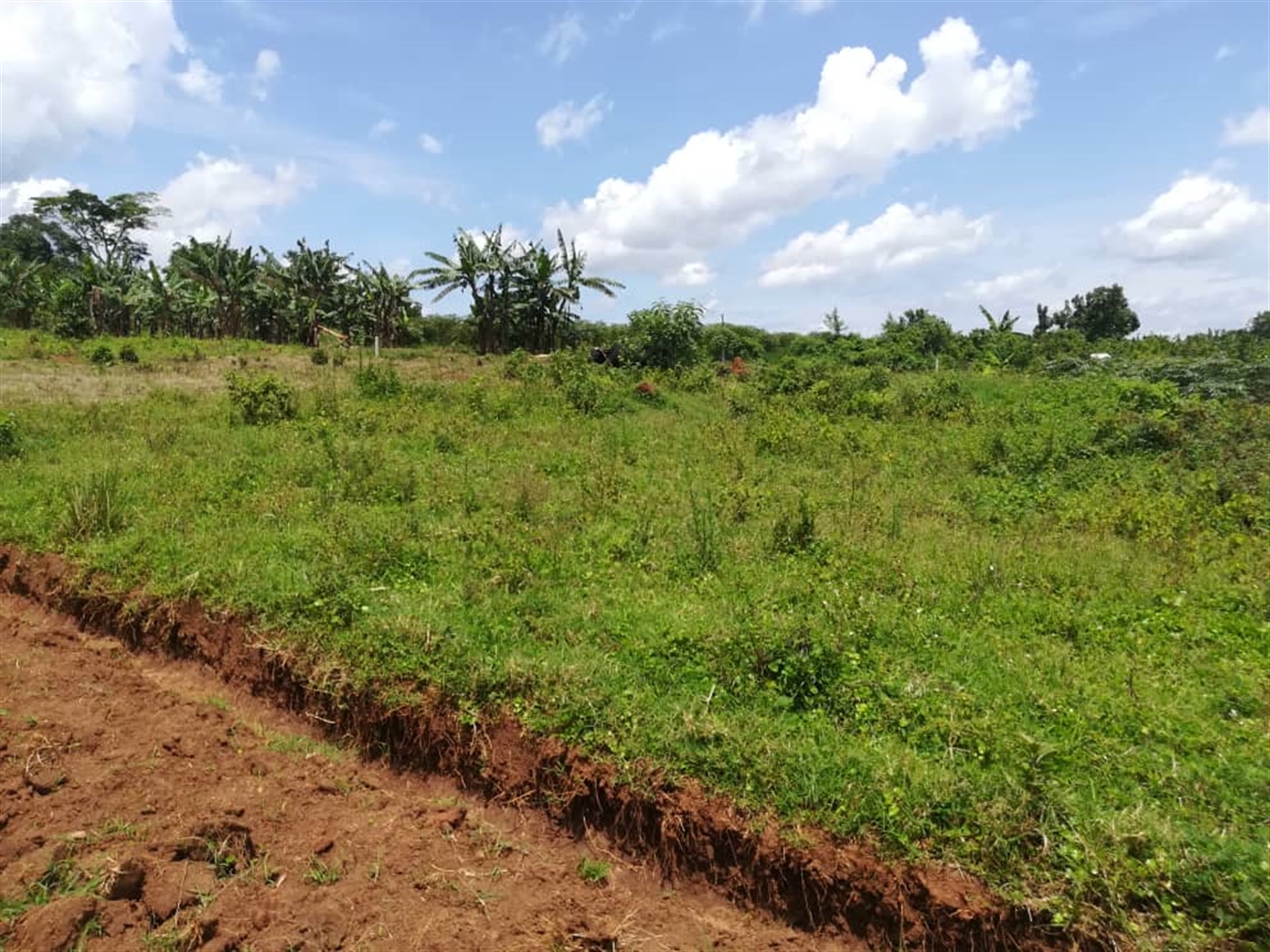 Residential Land for sale in Mpoma Mukono