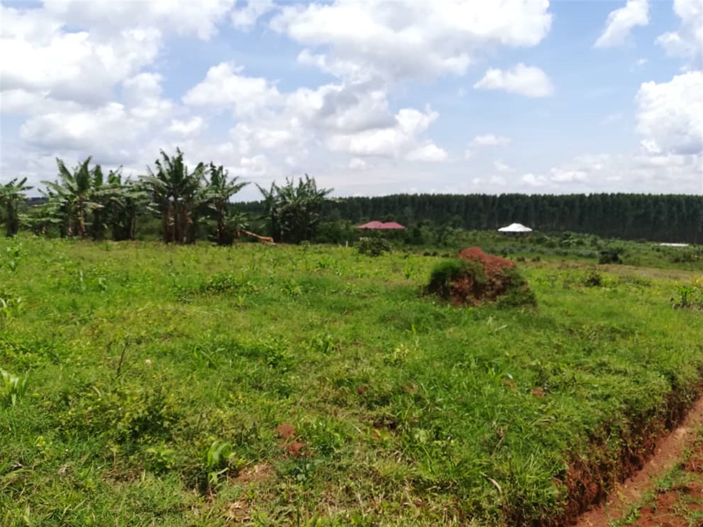 Residential Land for sale in Mpoma Mukono