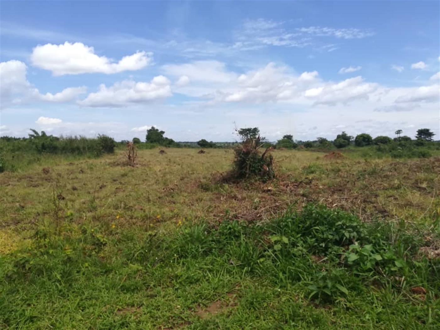 Residential Land for sale in Mpoma Mukono