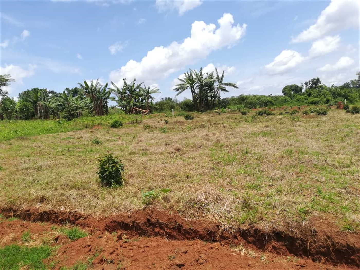 Residential Land for sale in Kisowela Mukono