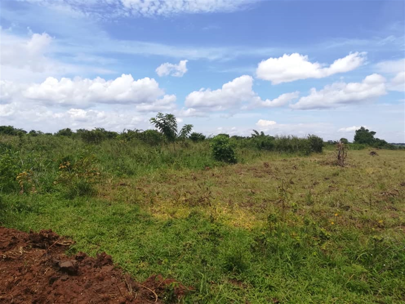 Residential Land for sale in Kisowela Mukono