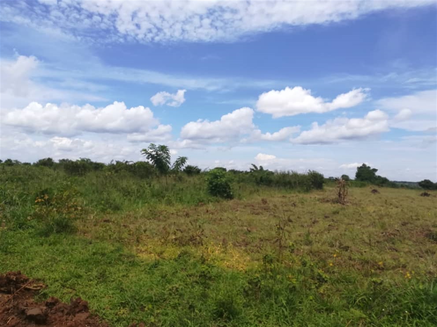 Residential Land for sale in Kisowela Mukono