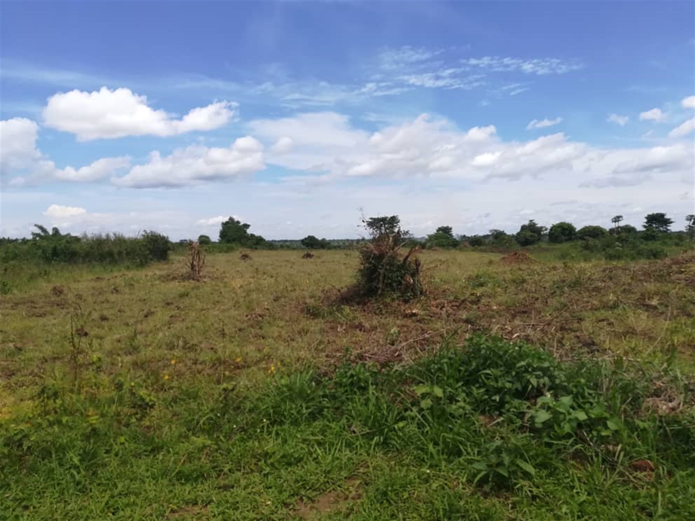 Residential Land for sale in Kisowela Mukono