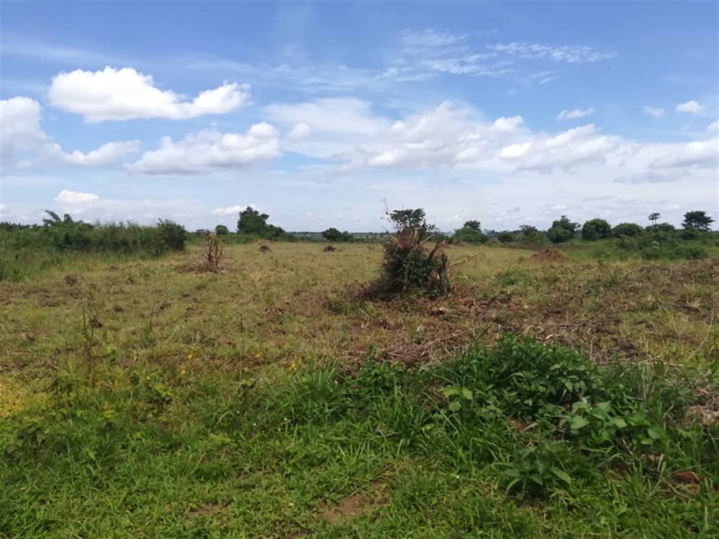 Residential Land for sale in Kisowela Mukono