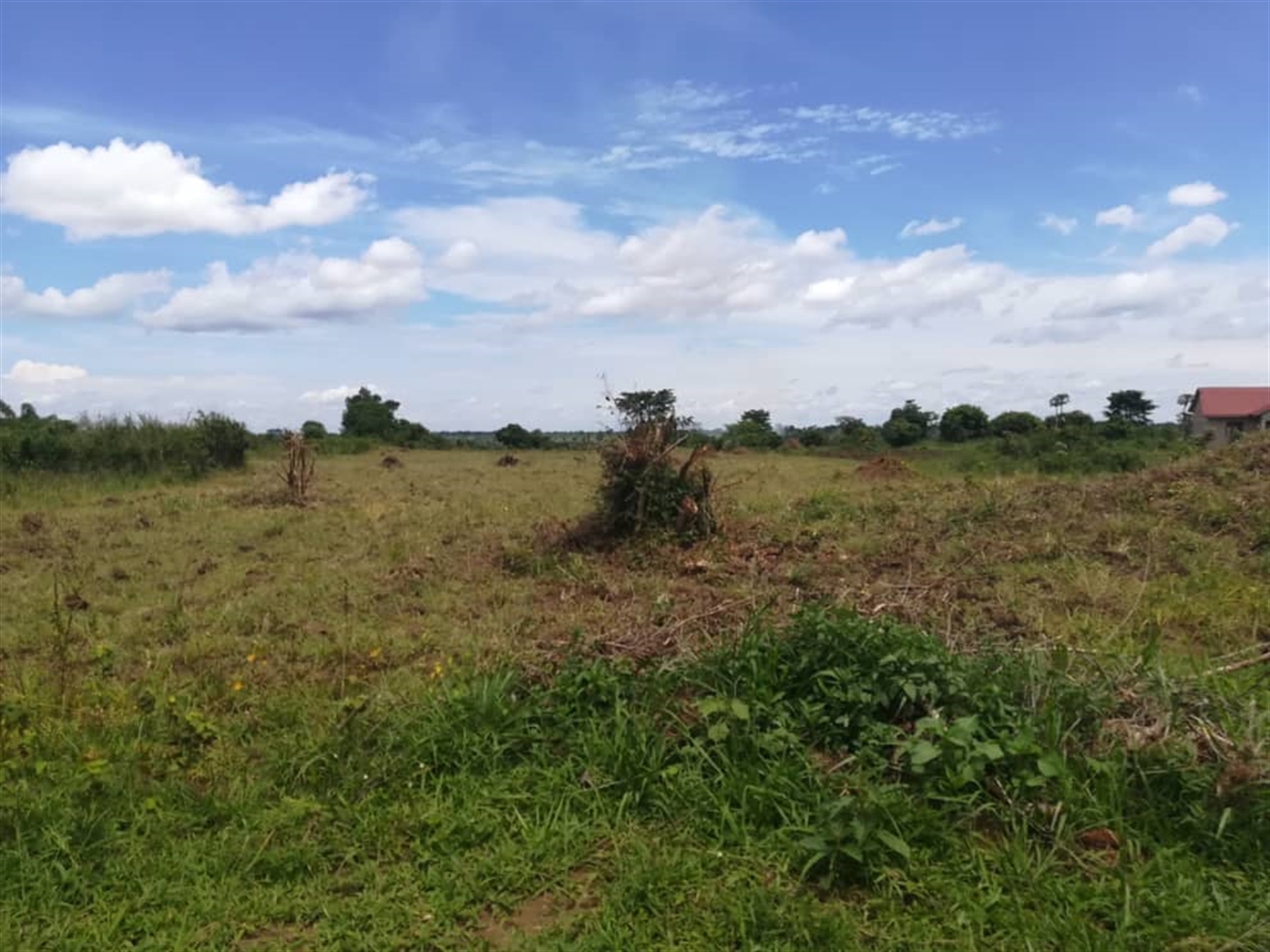 Residential Land for sale in Kisowela Mukono