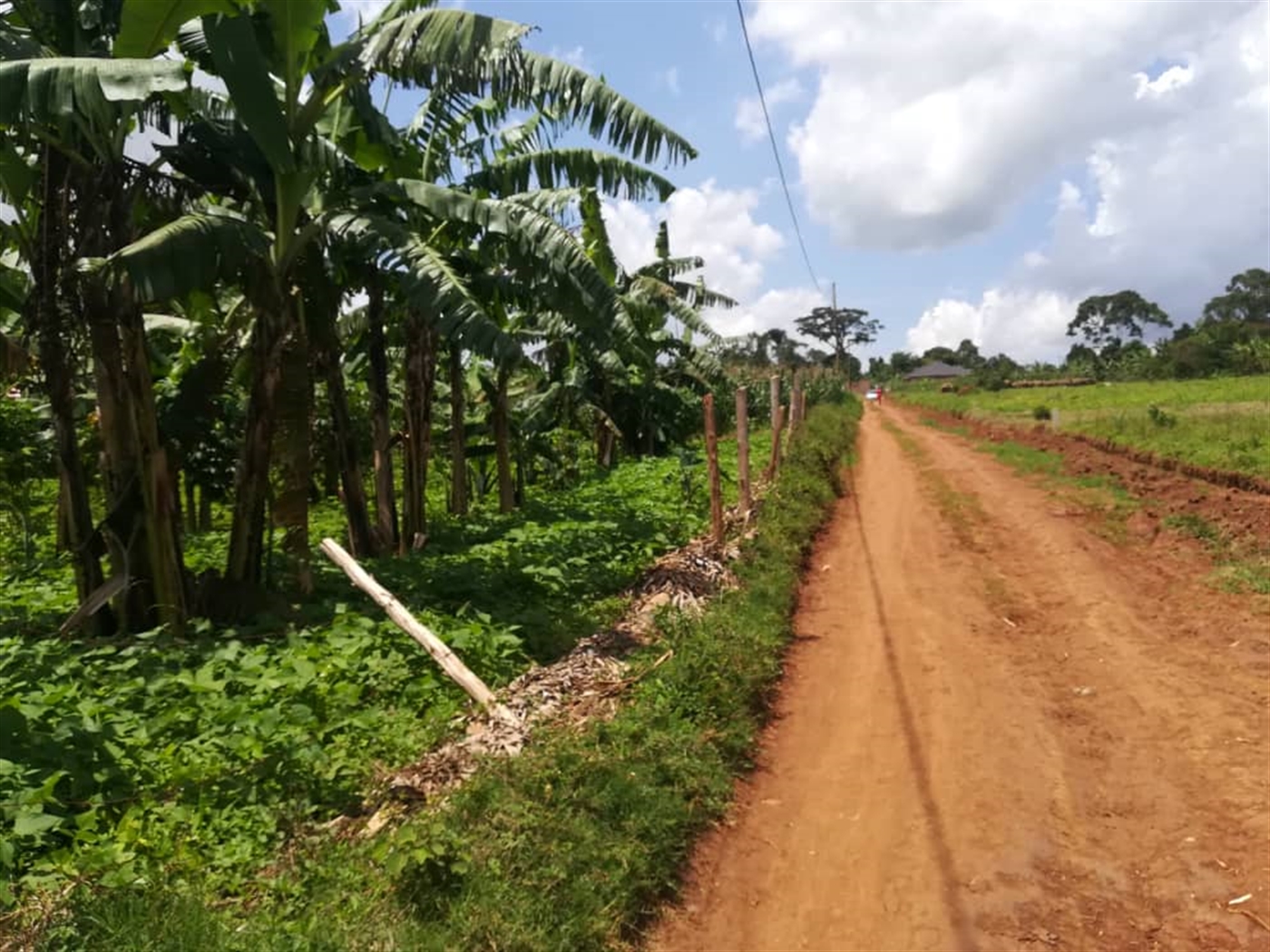 Residential Land for sale in Mpoma Mukono