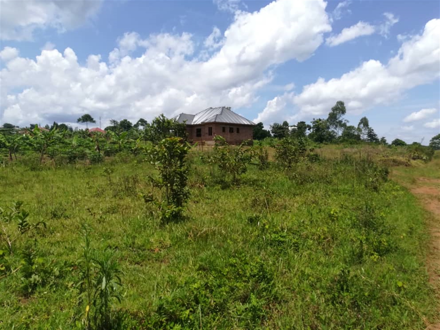 Residential Land for sale in Mpoma Mukono