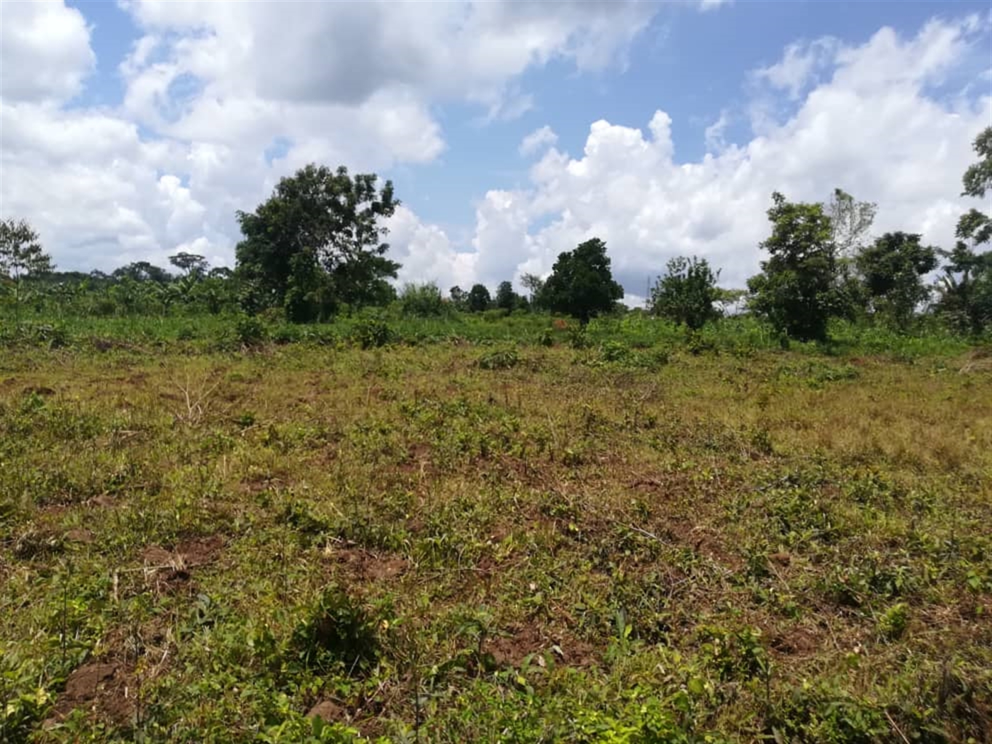 Residential Land for sale in Mpoma Mukono