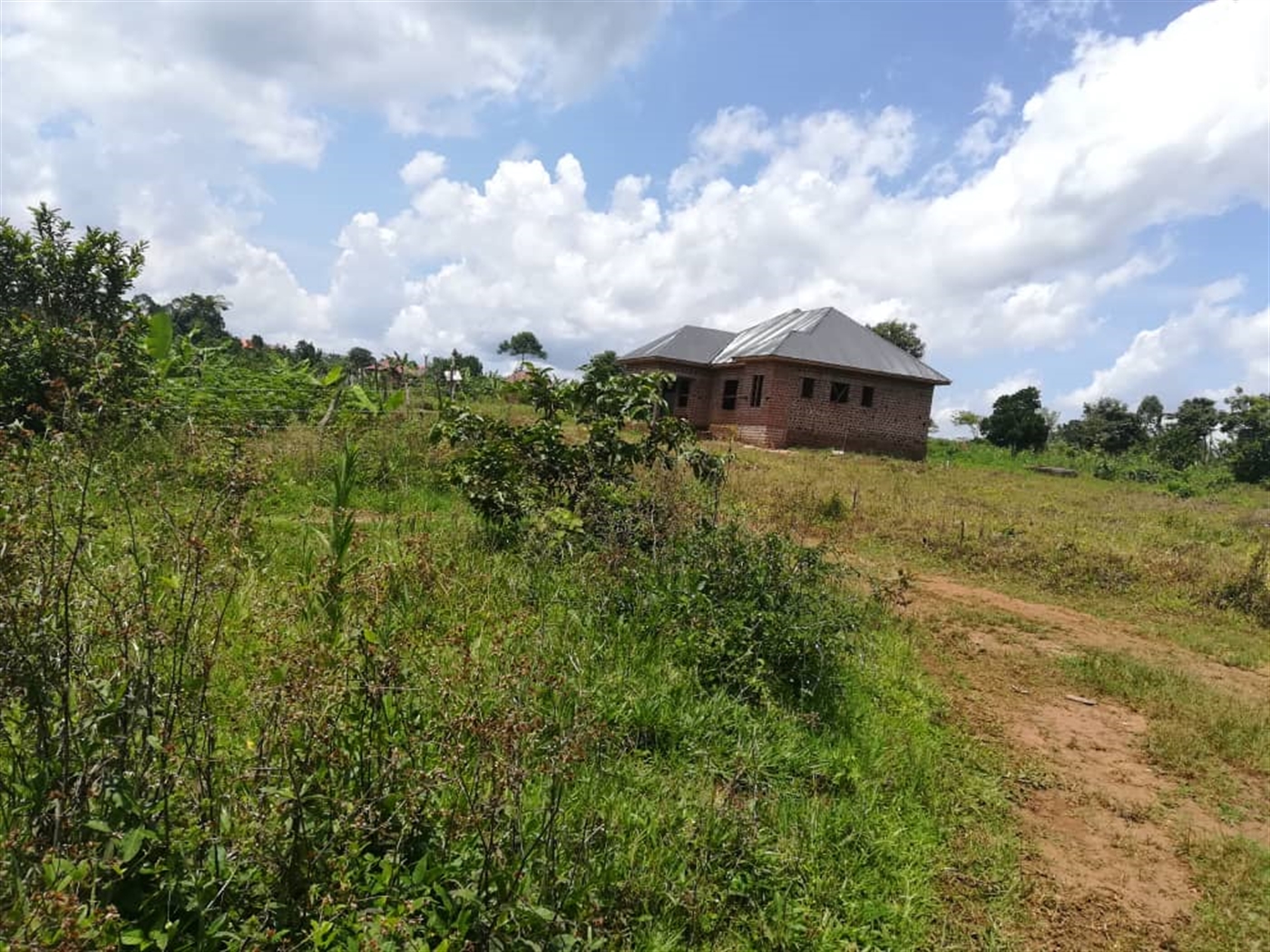 Residential Land for sale in Mpoma Mukono