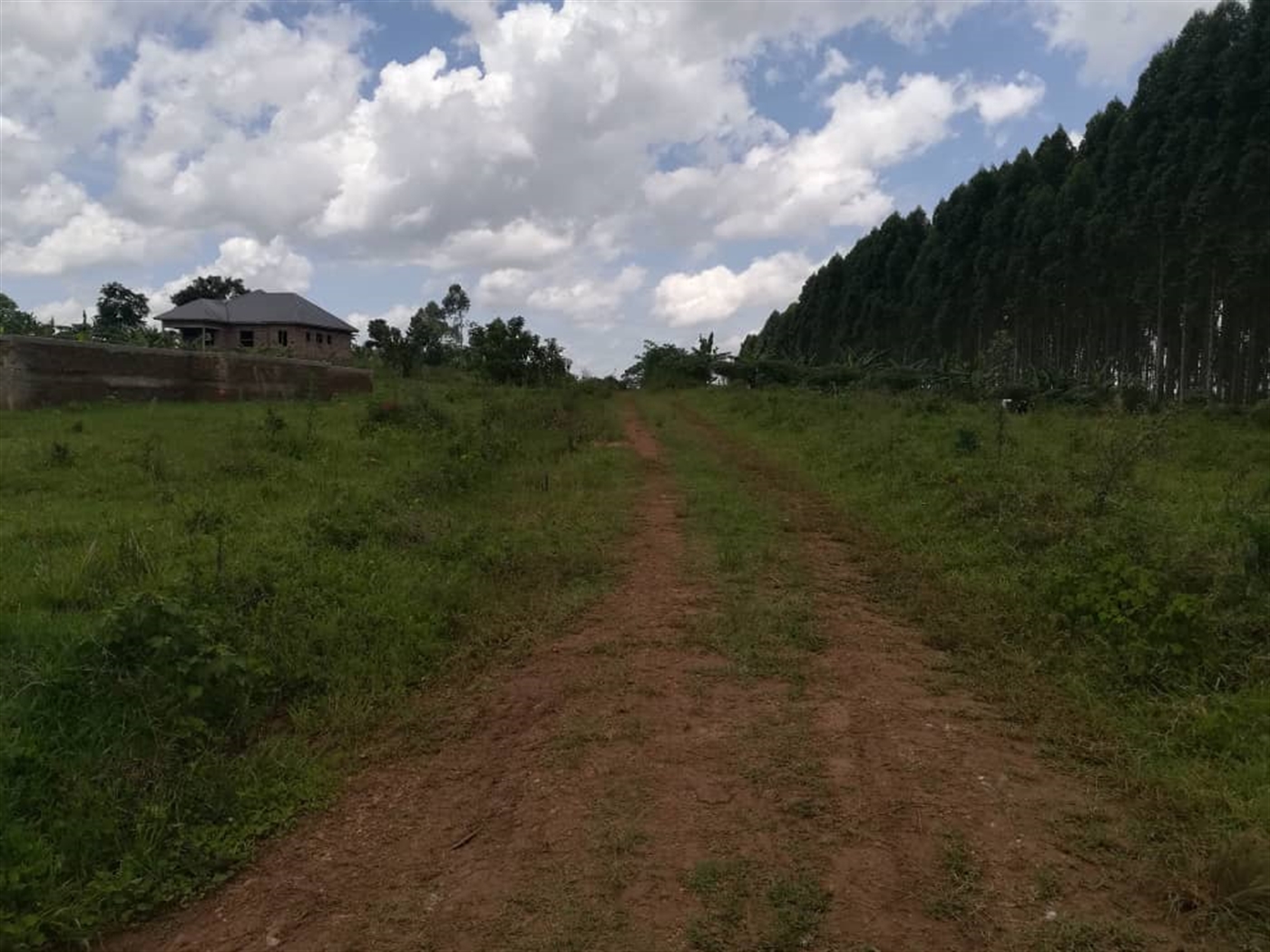 Residential Land for sale in Mpoma Mukono