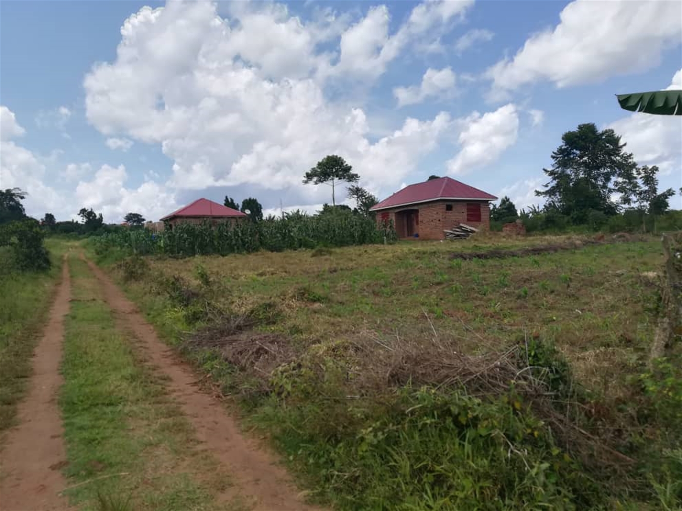 Residential Land for sale in Mpoma Mukono