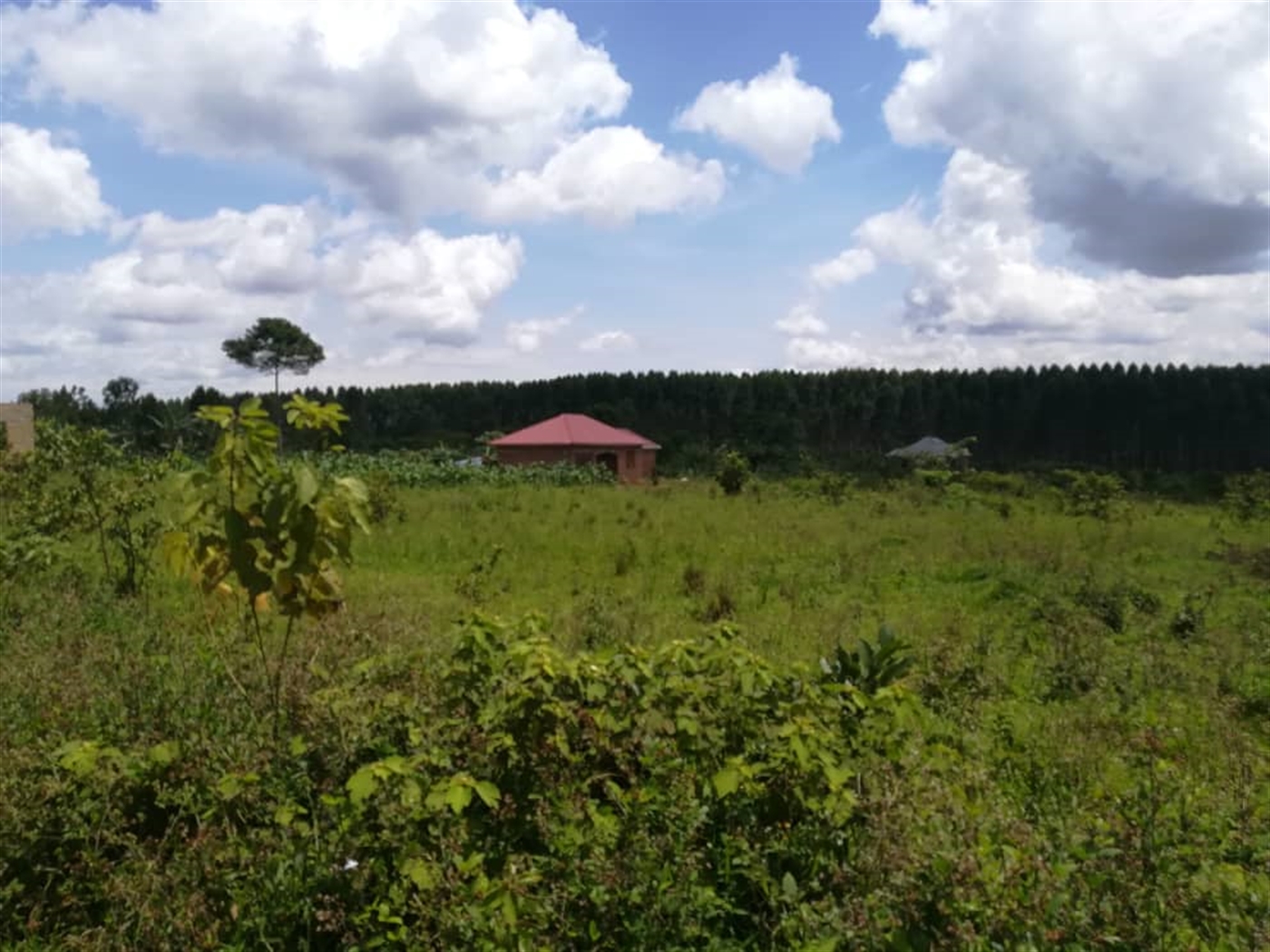 Residential Land for sale in Mpoma Mukono