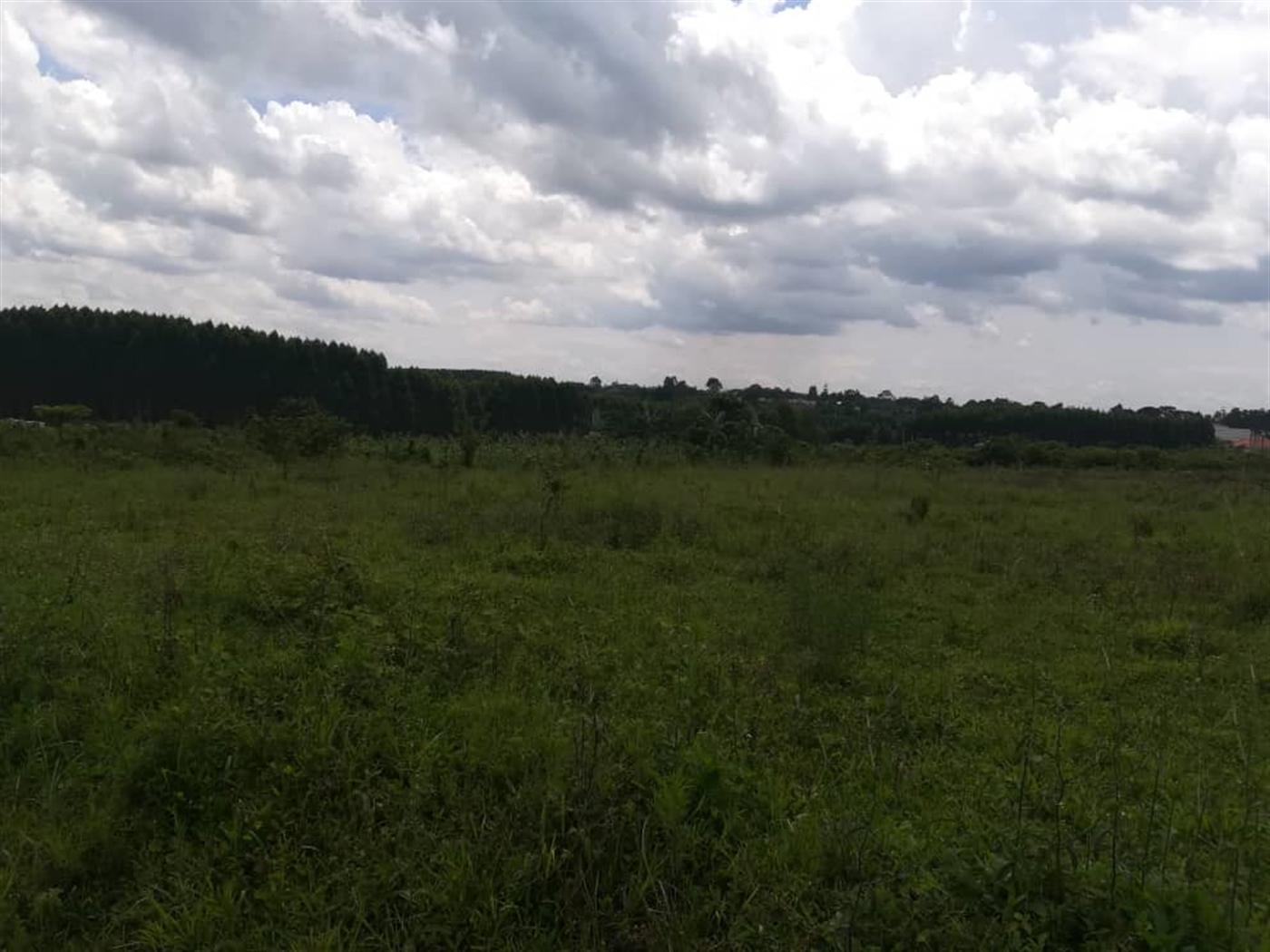 Residential Land for sale in Mpoma Mukono