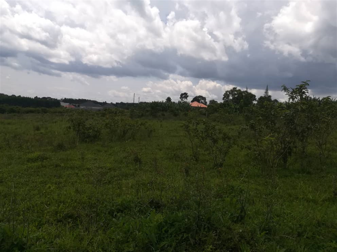 Residential Land for sale in Mpoma Mukono