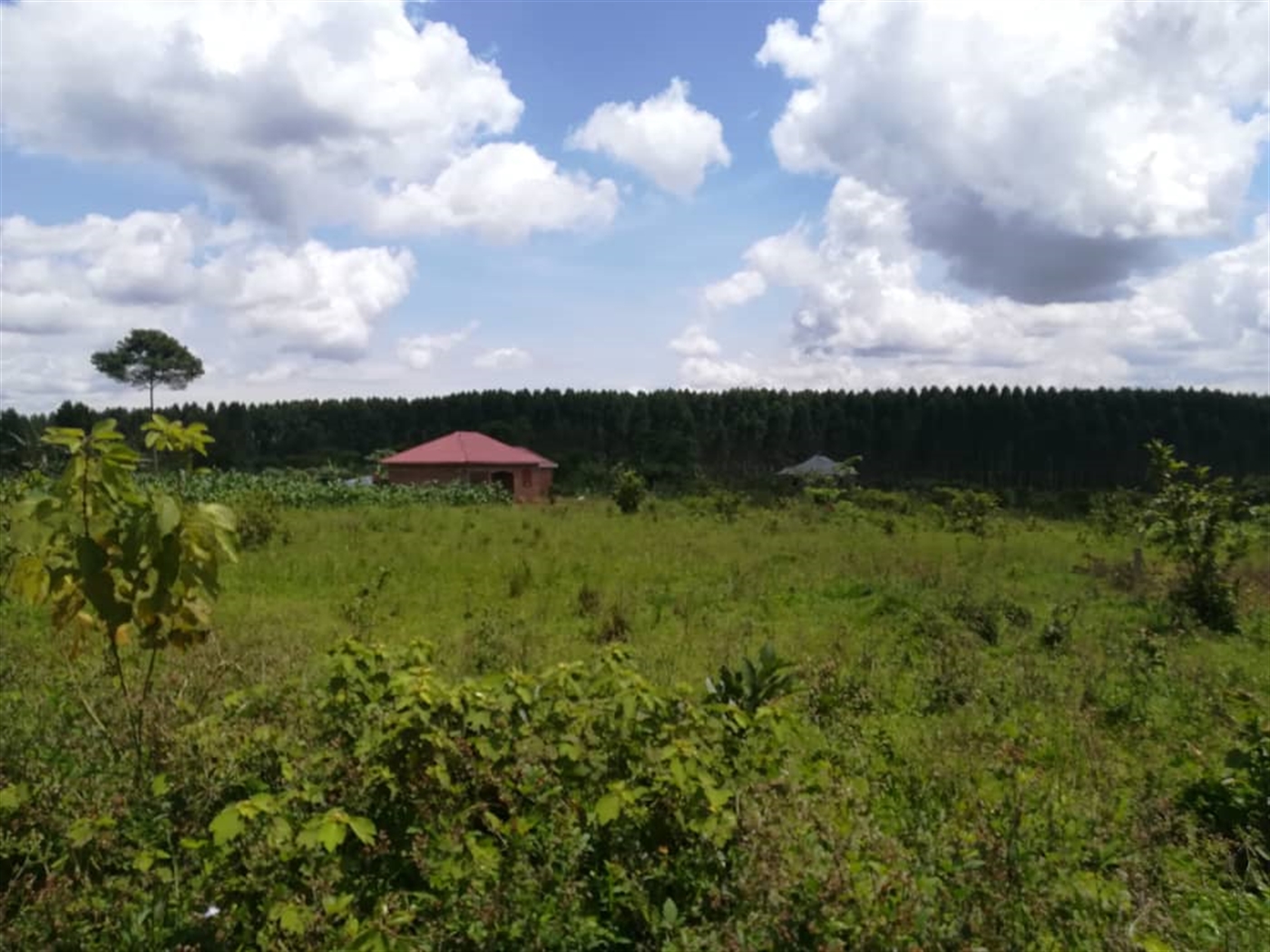 Residential Land for sale in Mpoma Mukono