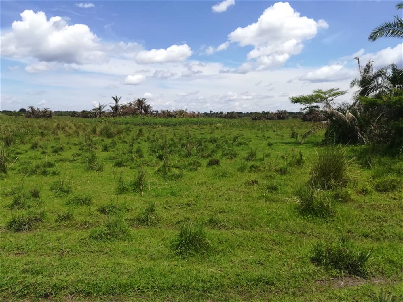 Agricultural Land for sale in Kataigwa Kayunga