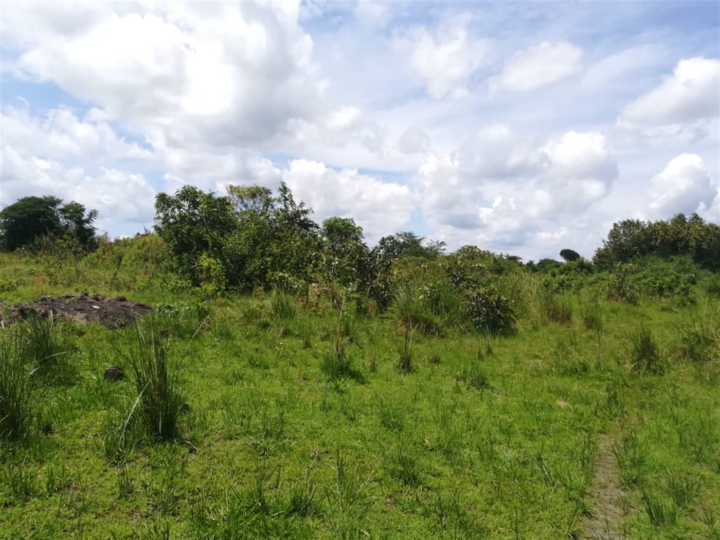 Agricultural Land for sale in Kataigwa Kayunga