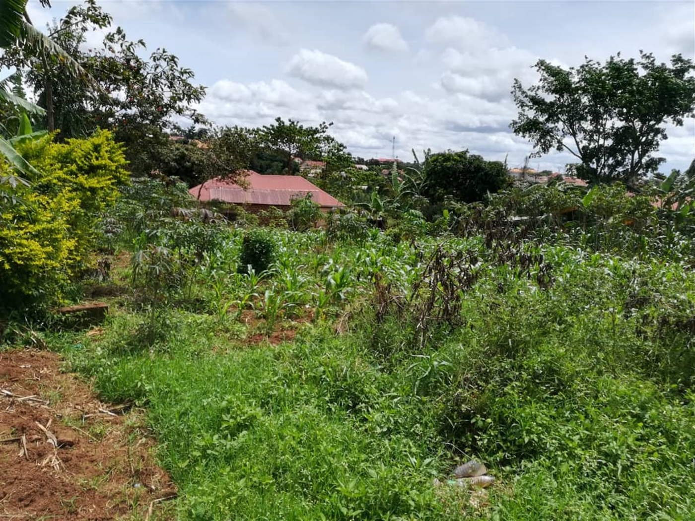 Residential Land for sale in Nabuuti Mukono