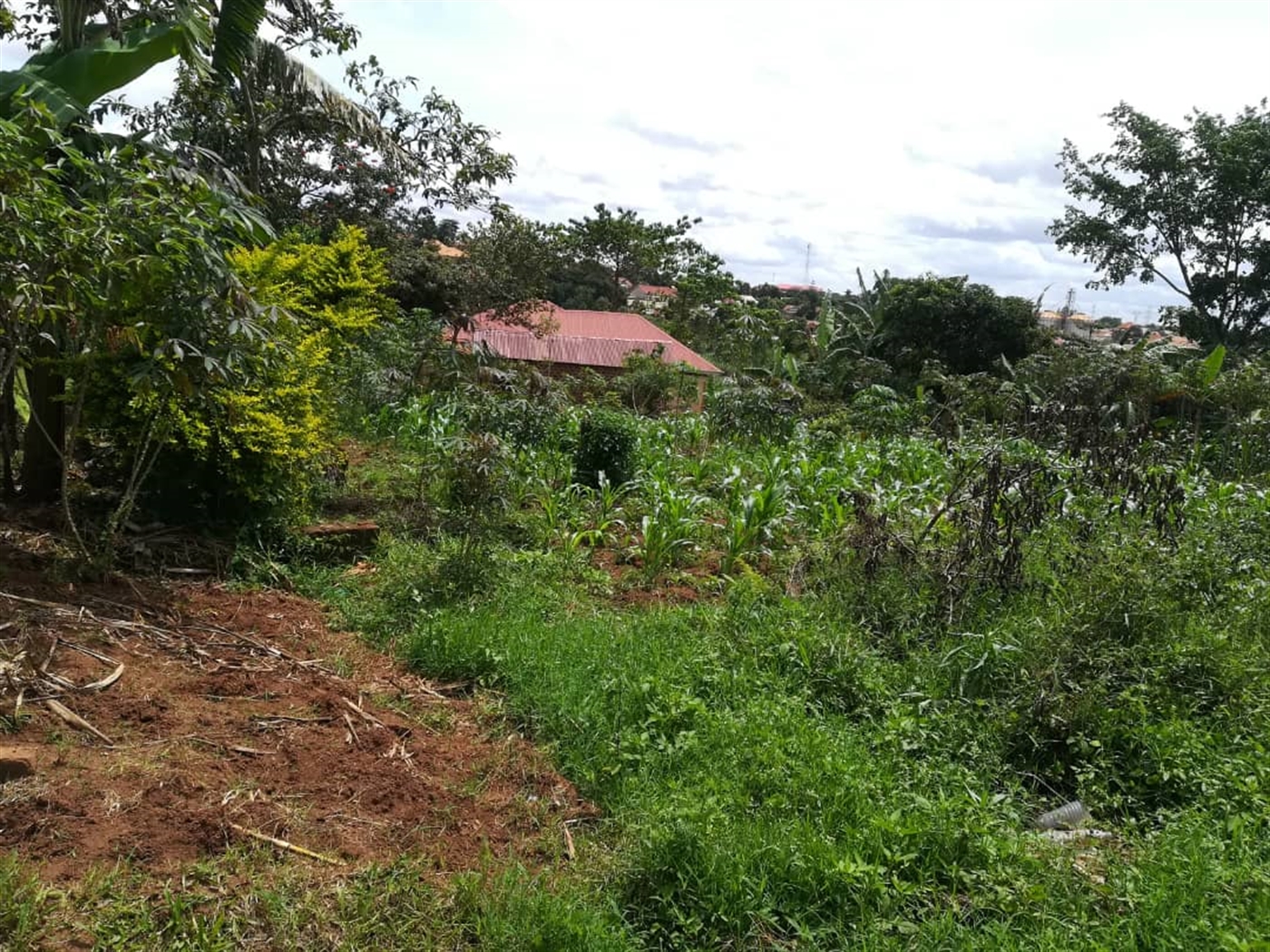 Residential Land for sale in Nabuuti Mukono