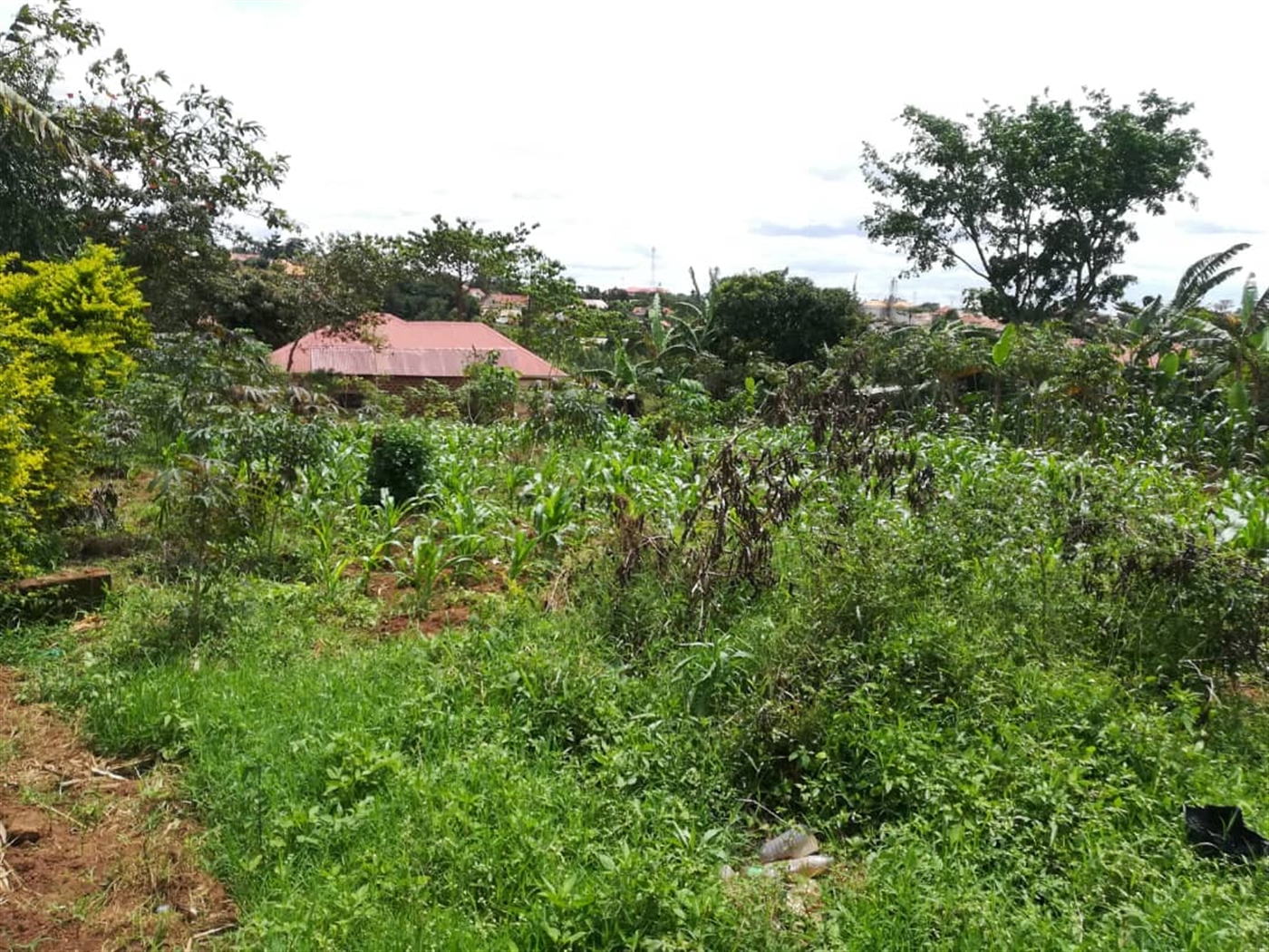 Residential Land for sale in Nabuuti Mukono