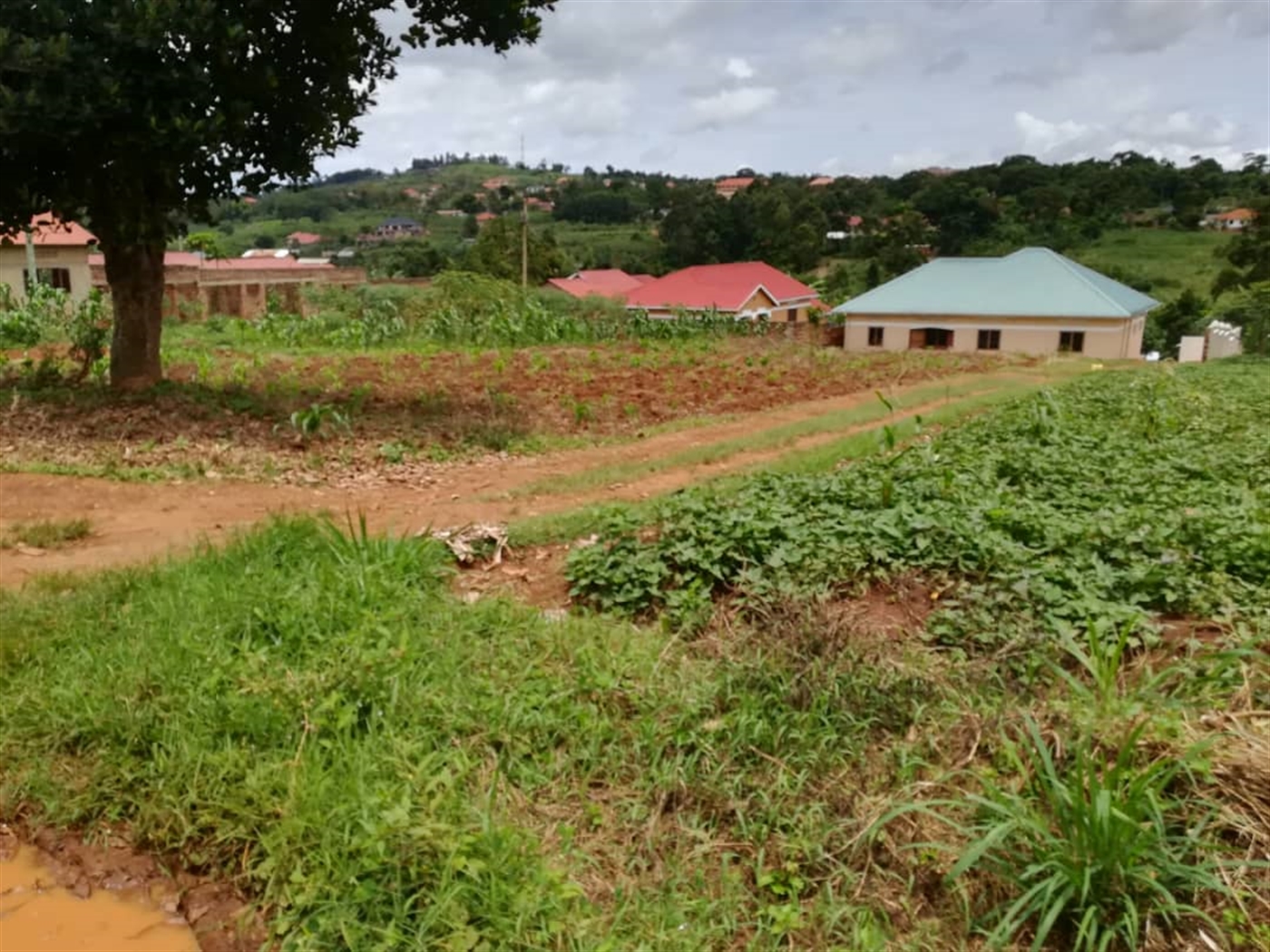 Residential Land for sale in Bajjo Mukono