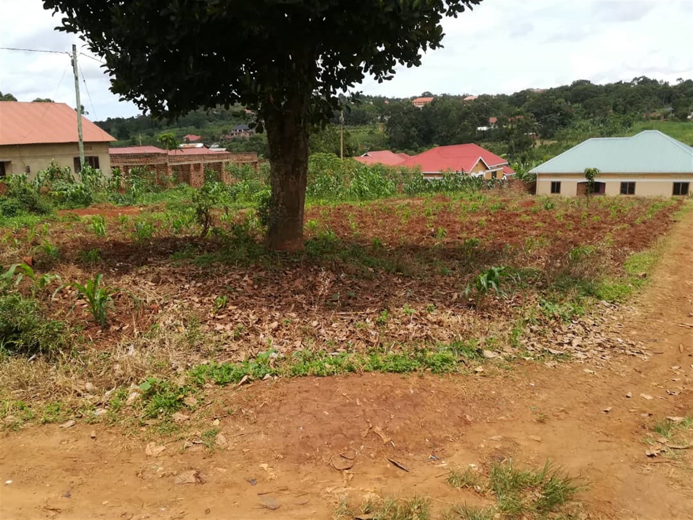 Residential Land for sale in Bajjo Mukono