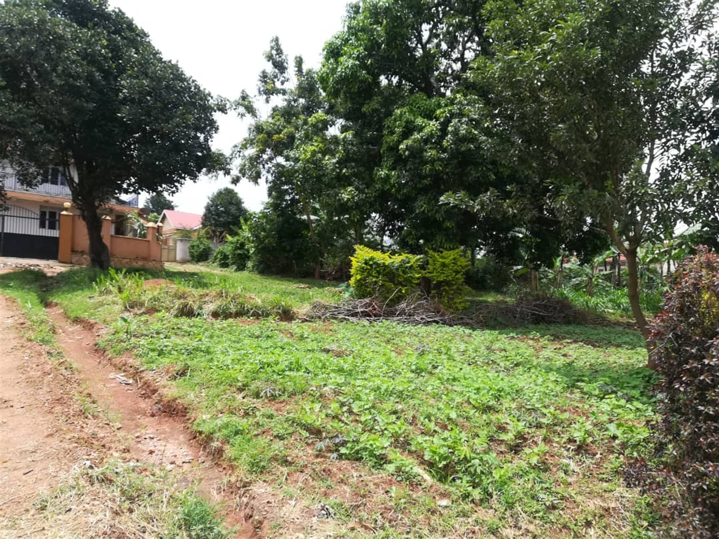 Residential Land for sale in Namilyango Mukono