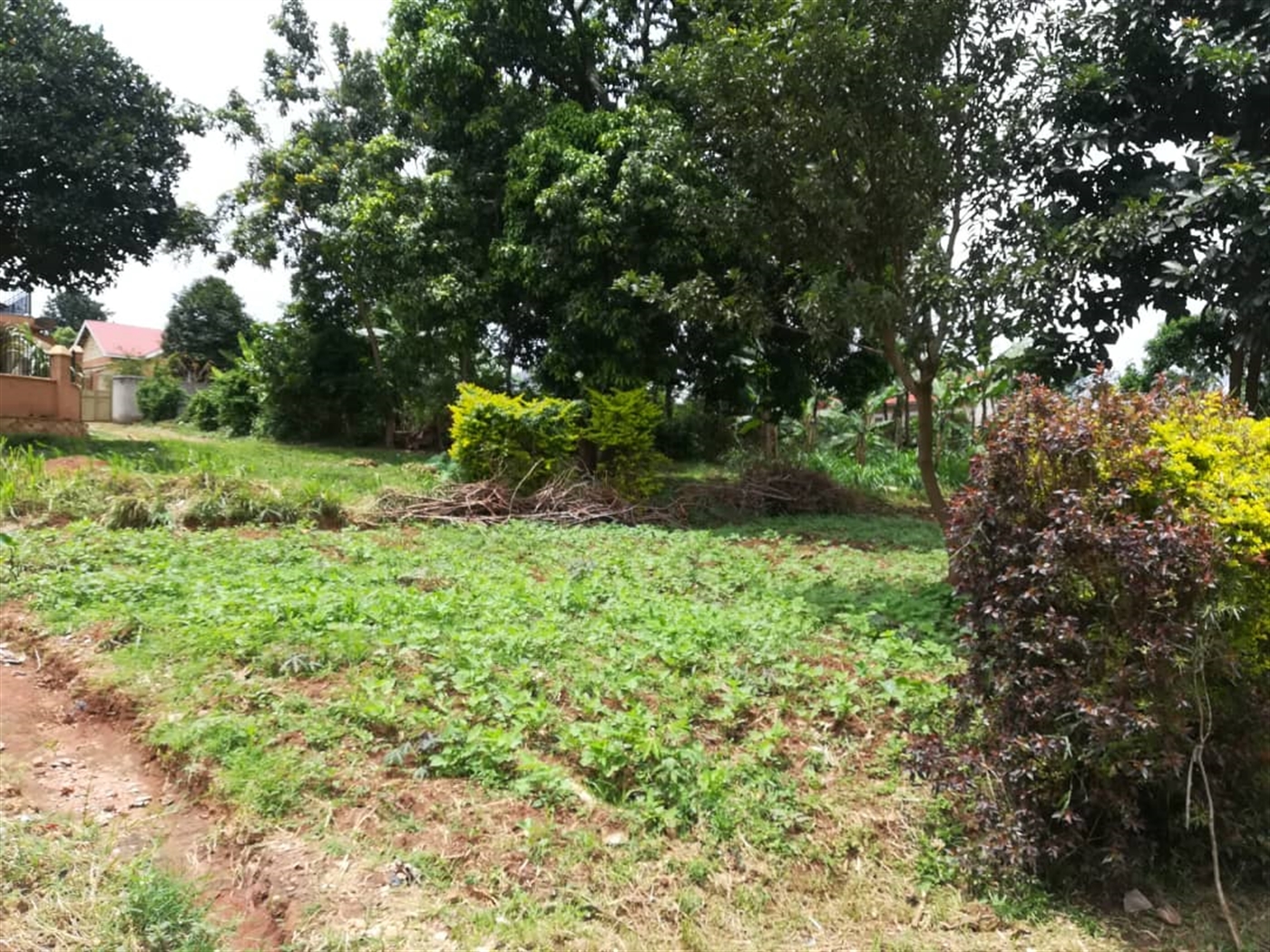 Residential Land for sale in Namilyango Mukono