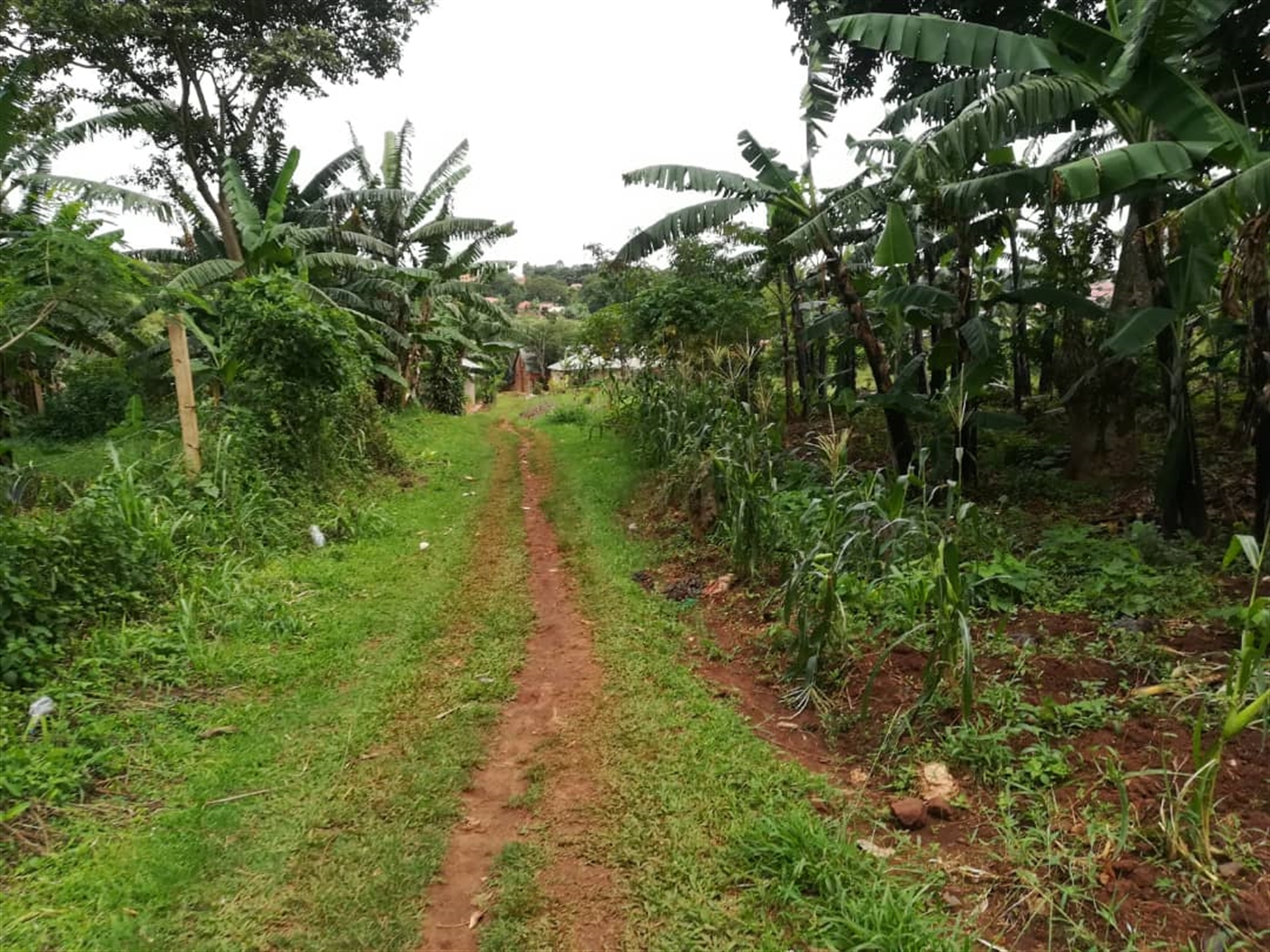 Residential Land for sale in Namilyango Mukono