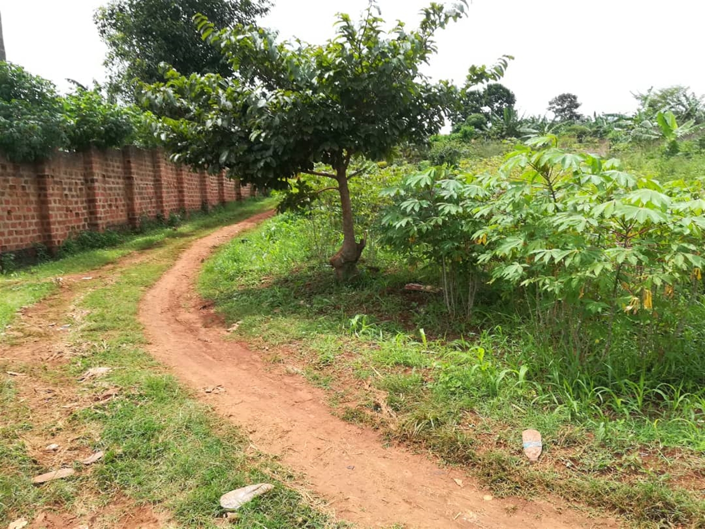 Residential Land for sale in Namilyango Mukono