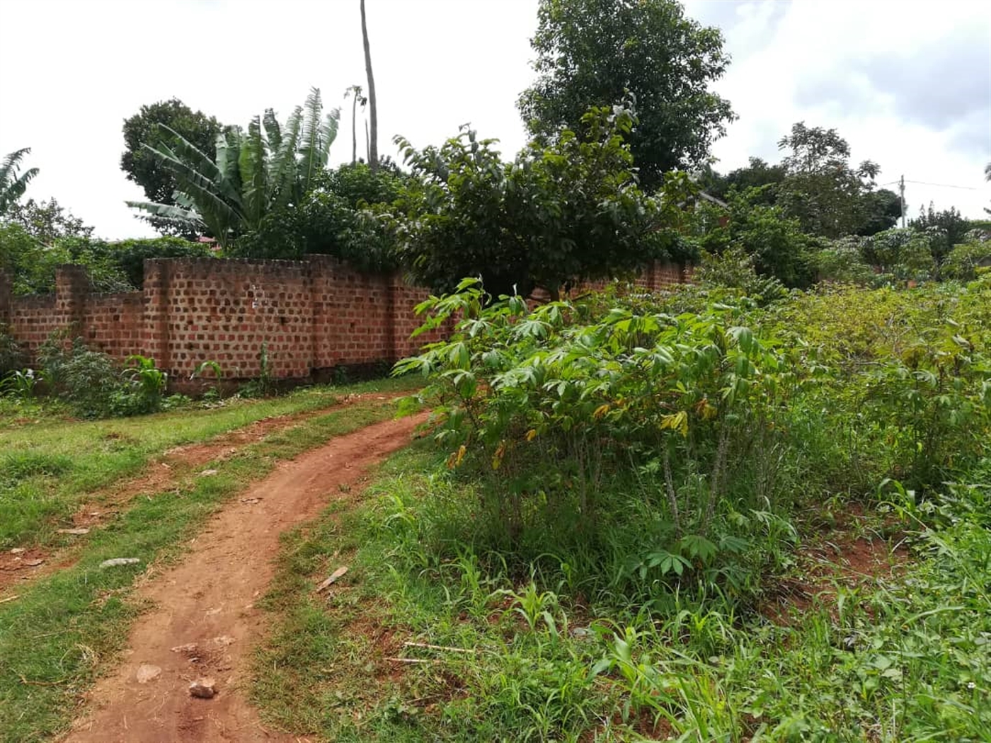 Residential Land for sale in Namilyango Mukono