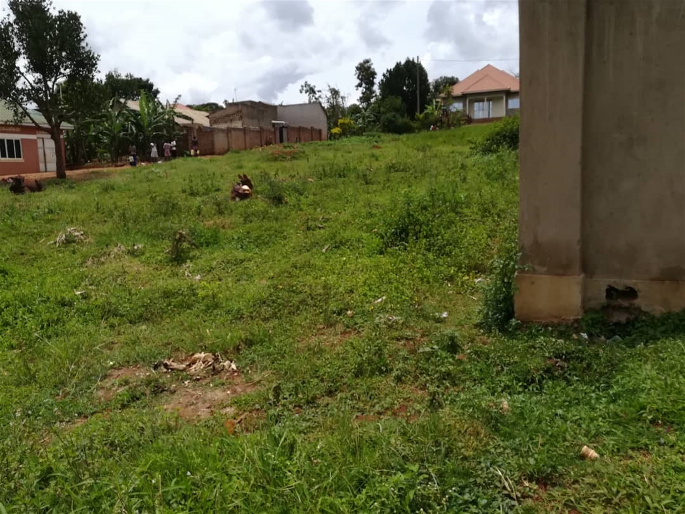 Residential Land for sale in Mpoma Mukono