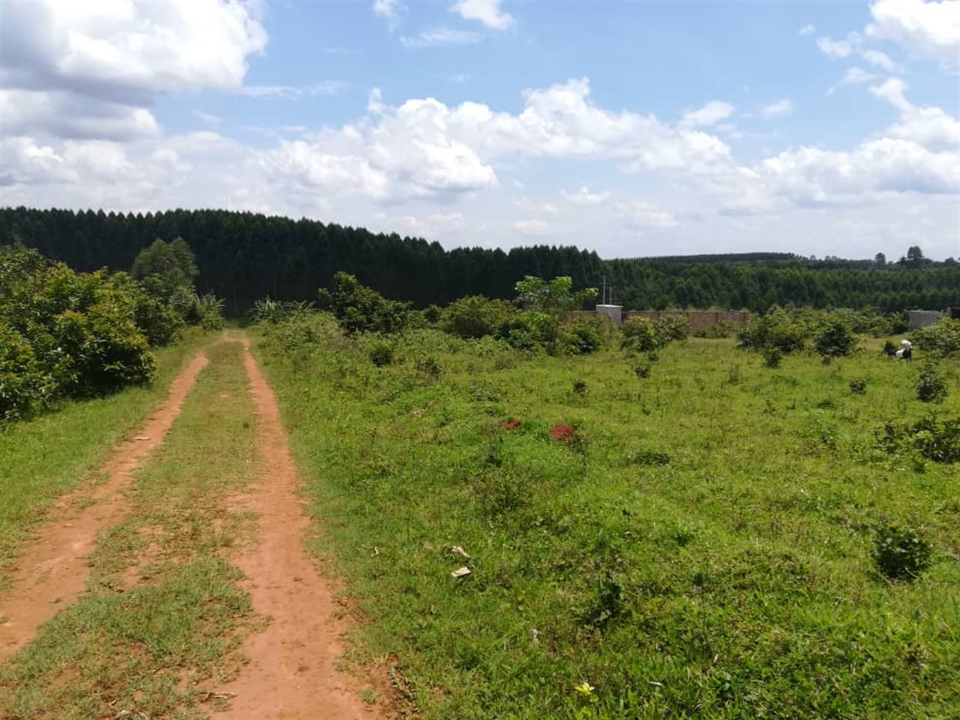 Residential Land for sale in Kisowela Mukono