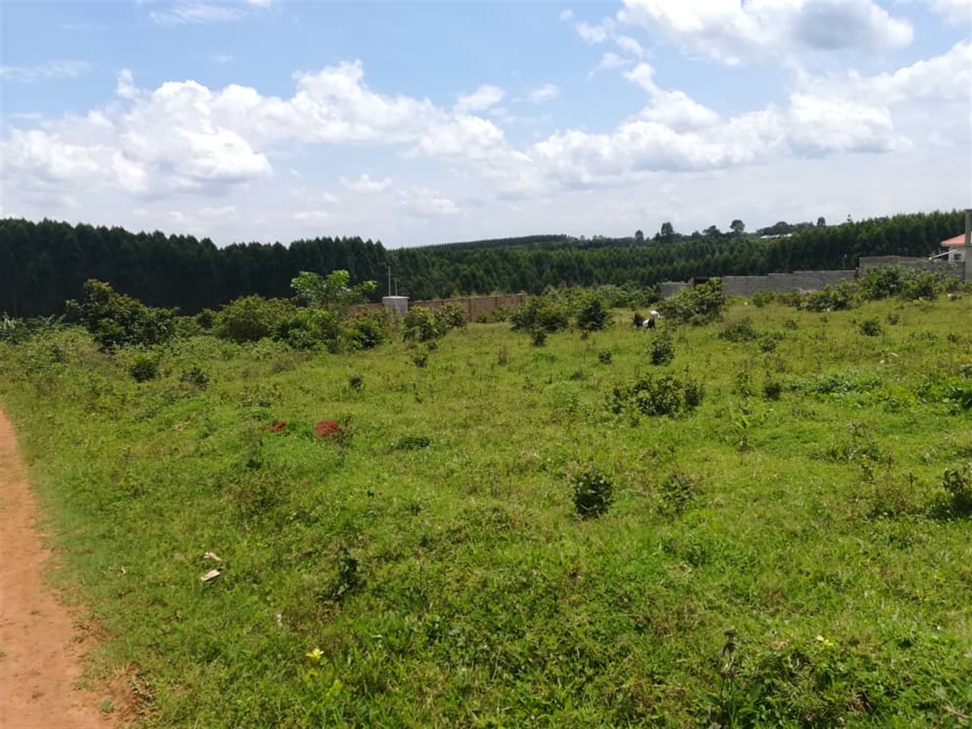 Residential Land for sale in Kisowela Mukono