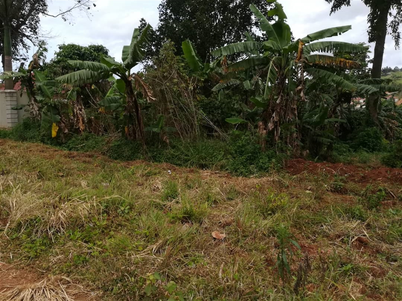 Residential Land for sale in Bugujju Mukono