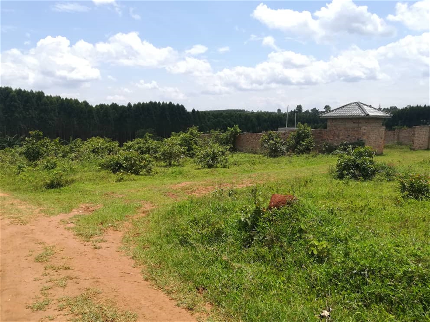 Residential Land for sale in Kisowela Mukono