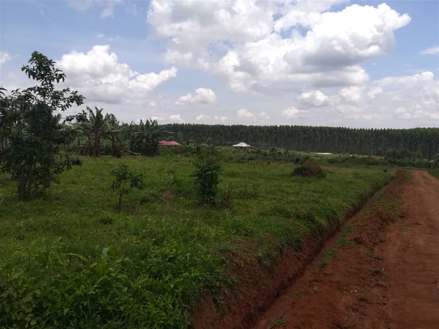 Residential Land for sale in Kisowela Mukono