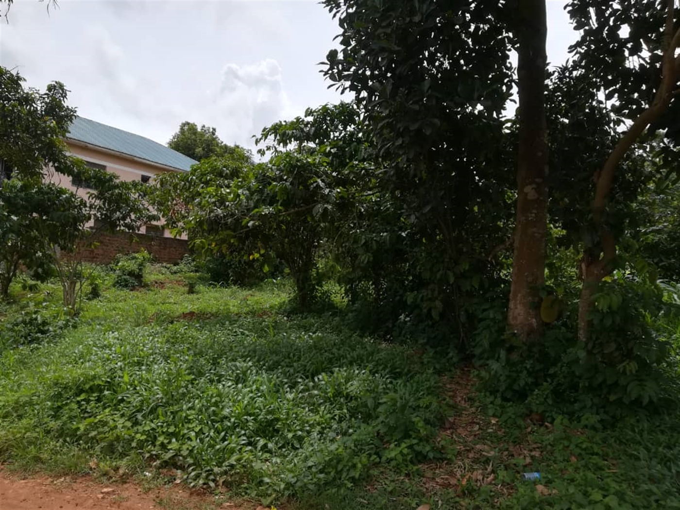 Residential Land for sale in Bugujju Mukono