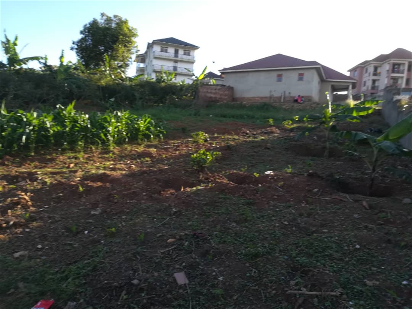 Residential Land for sale in Kigunga Mukono